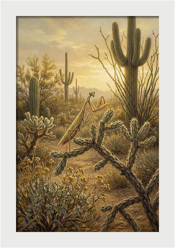 Praying Mantis In Desert Serenity