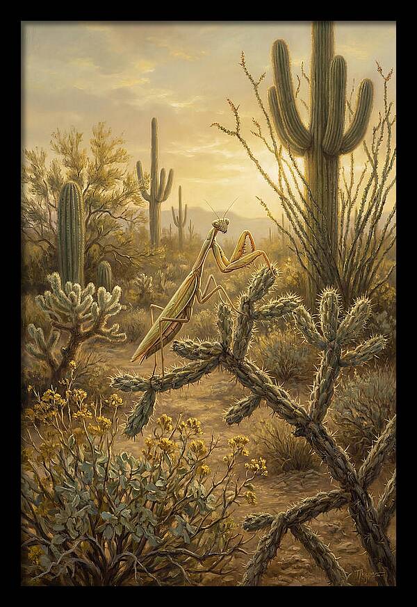 Praying Mantis In Desert Serenity