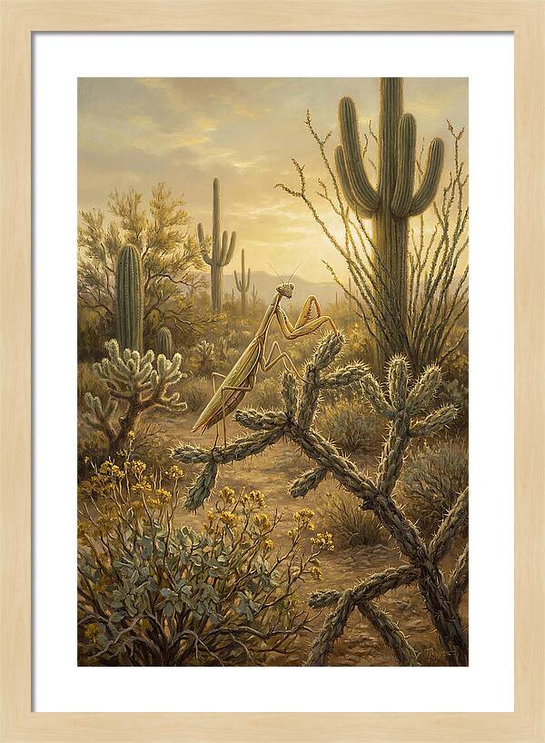 Praying Mantis In Desert Serenity