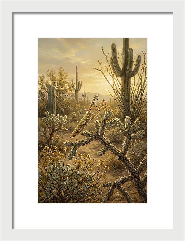 Praying Mantis In Desert Serenity