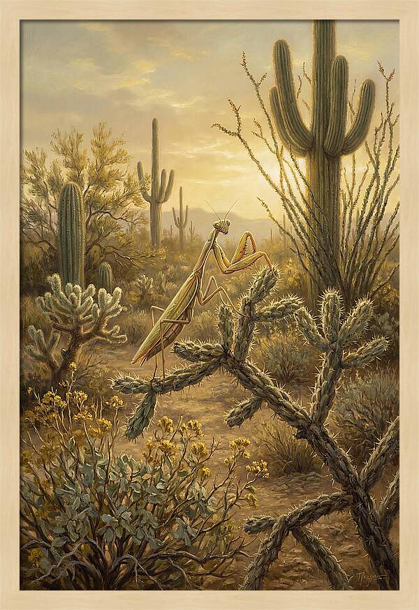 Praying Mantis In Desert Serenity