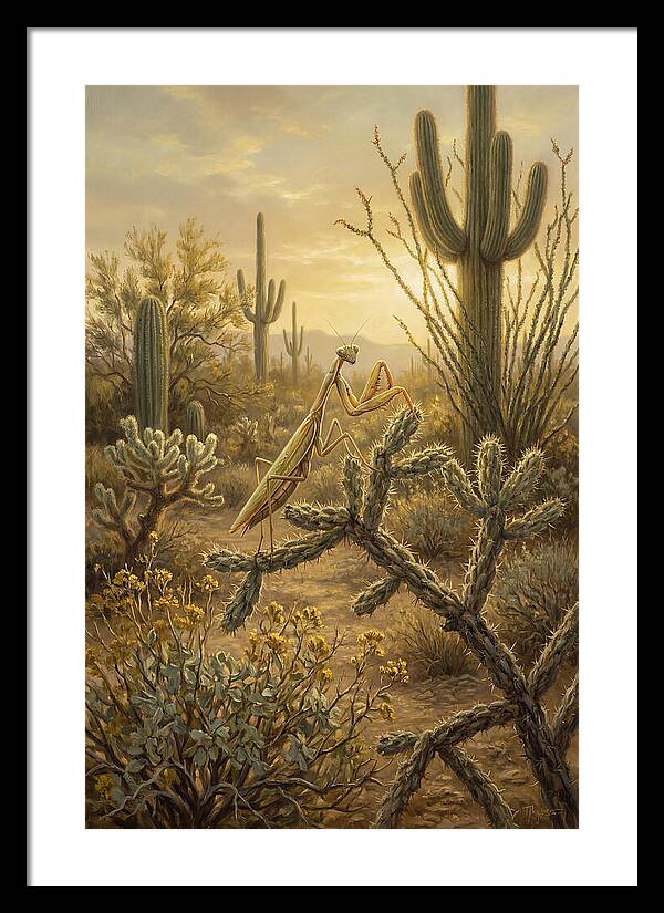Praying Mantis In Desert Serenity