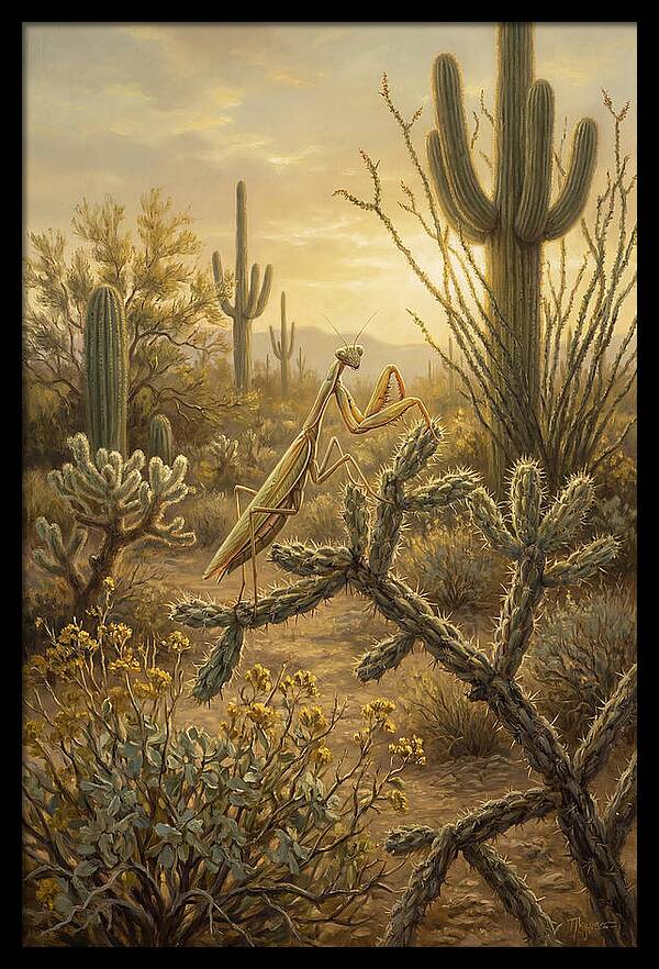 Praying Mantis In Desert Serenity