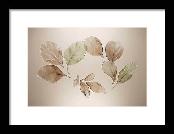 Pressed Botanical Elegance