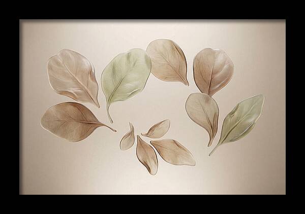 Pressed Botanical Elegance