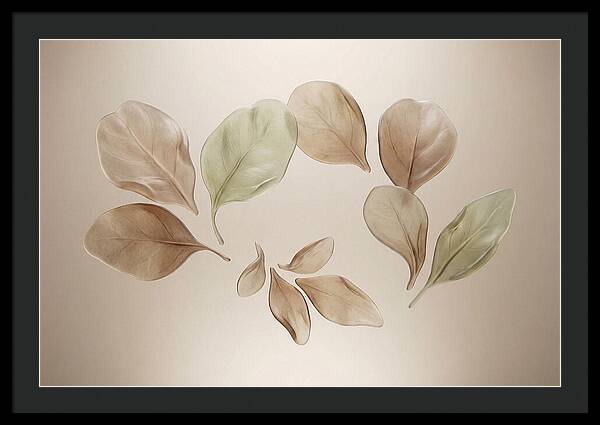 Pressed Botanical Elegance