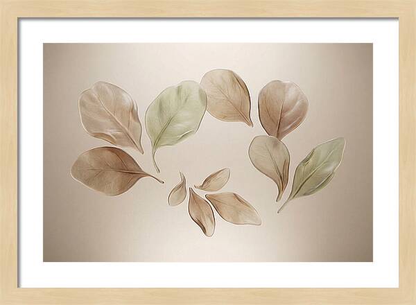 Pressed Botanical Elegance