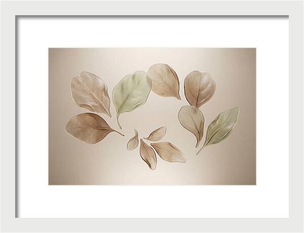 Pressed Botanical Elegance