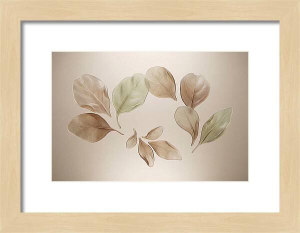 Pressed Botanical Elegance