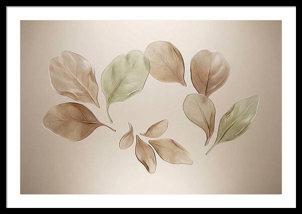 Pressed Botanical Elegance