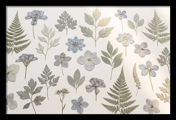 Pressed Botanical Specimens Collection