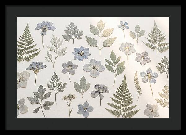 Pressed Botanical Specimens Collection