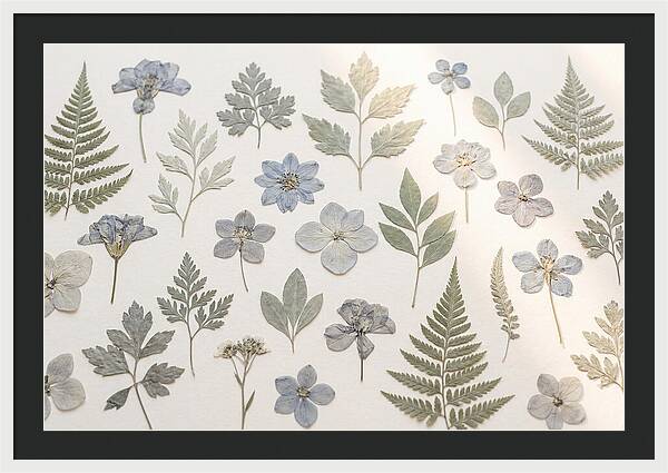 Pressed Botanical Specimens Collection
