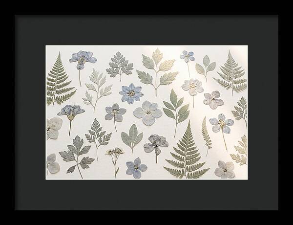 Pressed Botanical Specimens Collection