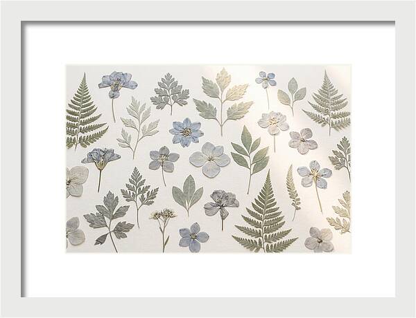 Pressed Botanical Specimens Collection