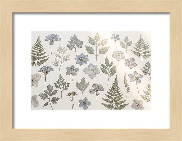 Pressed Botanical Specimens Collection