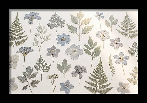 Pressed Botanical Specimens Collection
