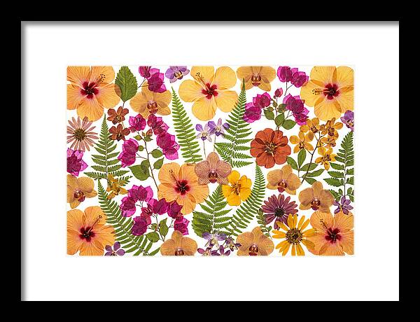 Pressed Floral Harmony