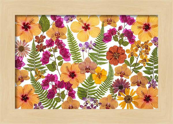 Pressed Floral Harmony