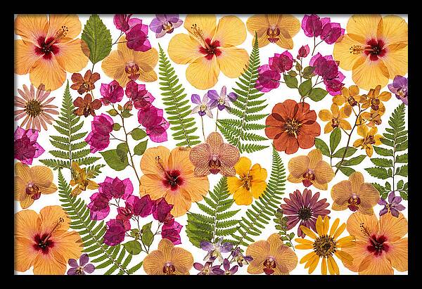 Pressed Floral Harmony
