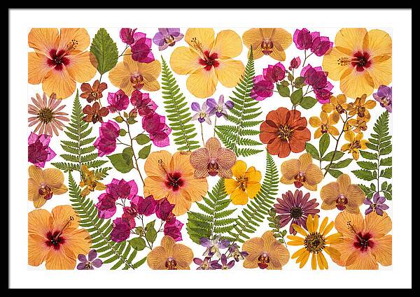 Pressed Floral Harmony
