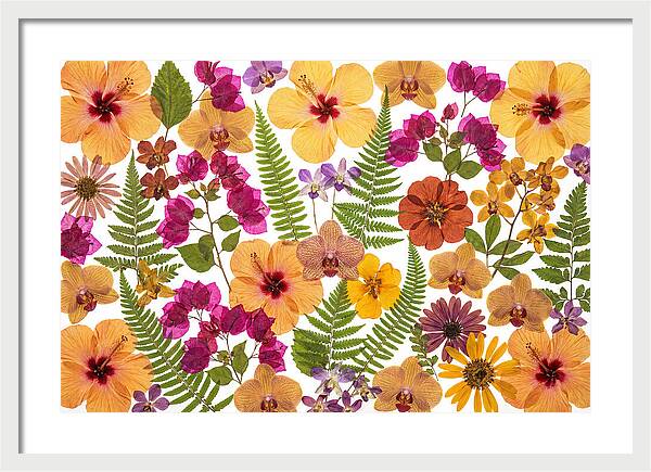 Pressed Floral Harmony