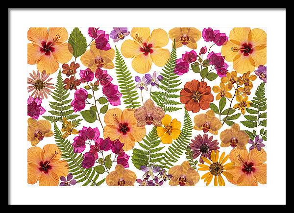 Pressed Floral Harmony