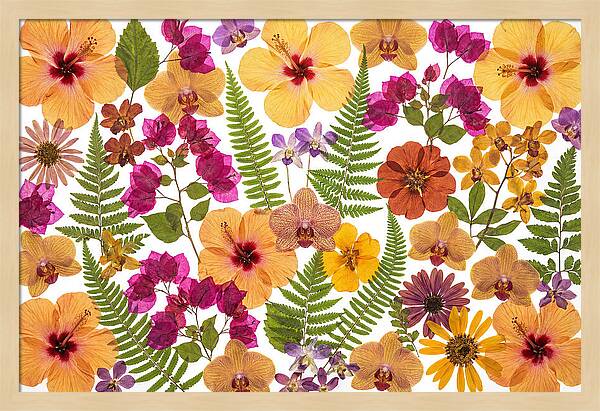 Pressed Floral Harmony