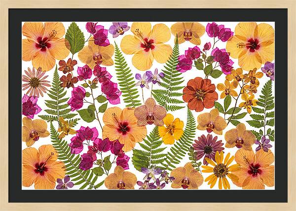 Pressed Floral Harmony