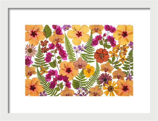 Pressed Floral Harmony