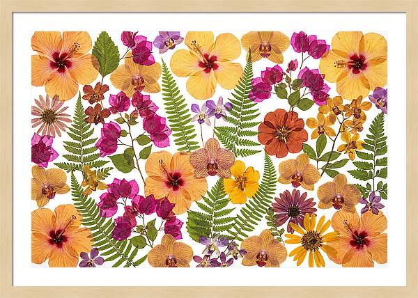 Pressed Floral Harmony