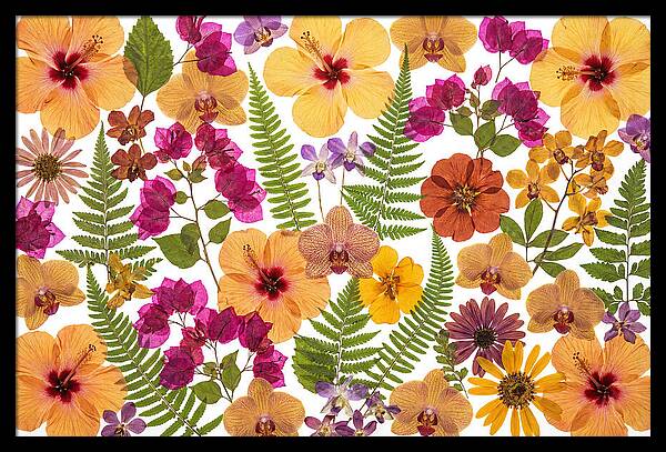 Pressed Floral Harmony
