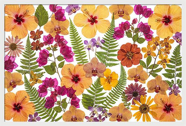 Pressed Floral Harmony