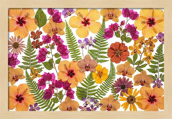 Pressed Floral Harmony