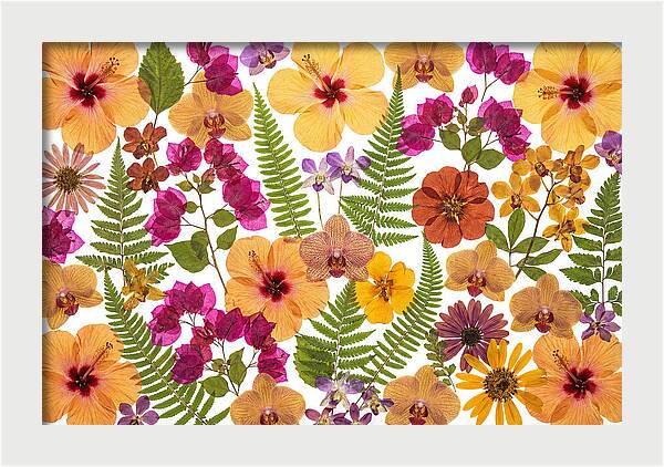 Pressed Floral Harmony
