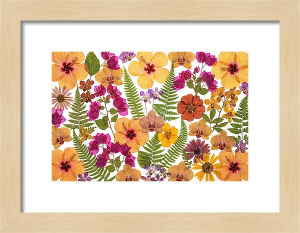 Pressed Floral Harmony