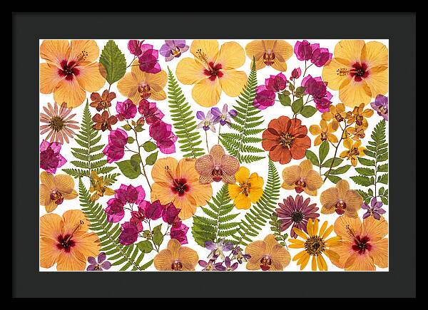 Pressed Floral Harmony