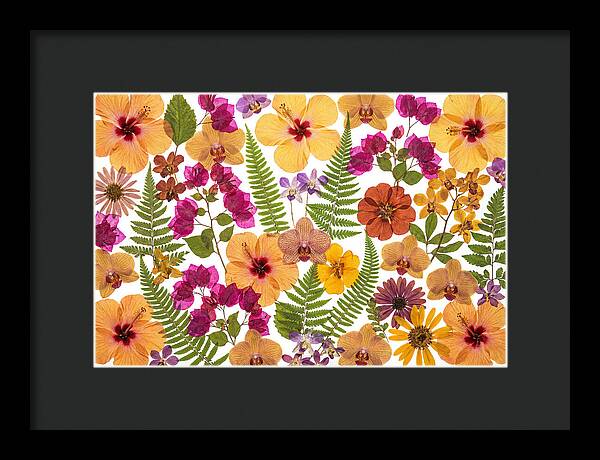 Pressed Floral Harmony