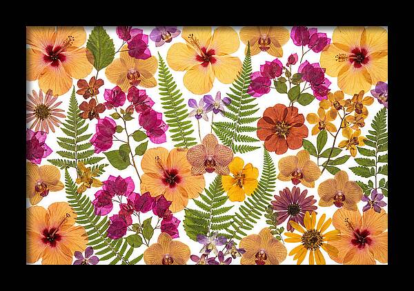 Pressed Floral Harmony