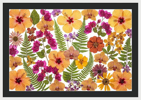 Pressed Floral Harmony