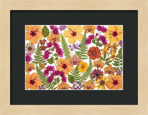 Pressed Floral Harmony