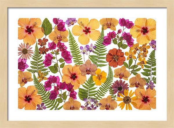 Pressed Floral Harmony