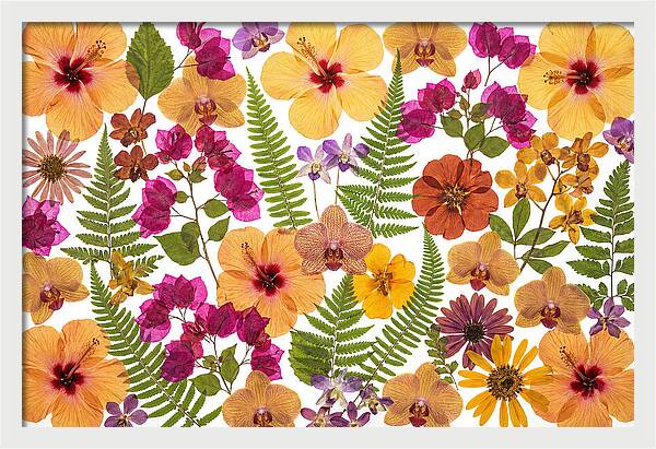 Pressed Floral Harmony