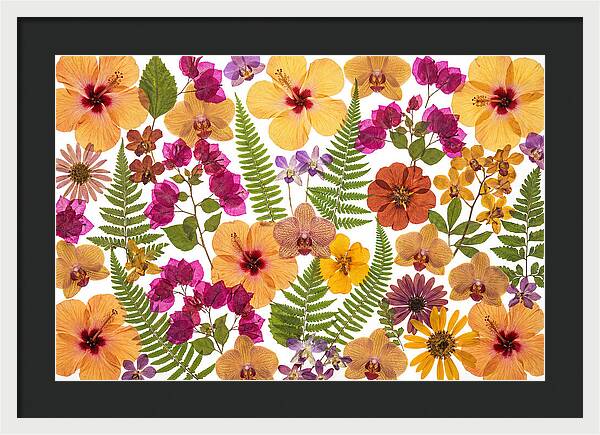 Pressed Floral Harmony