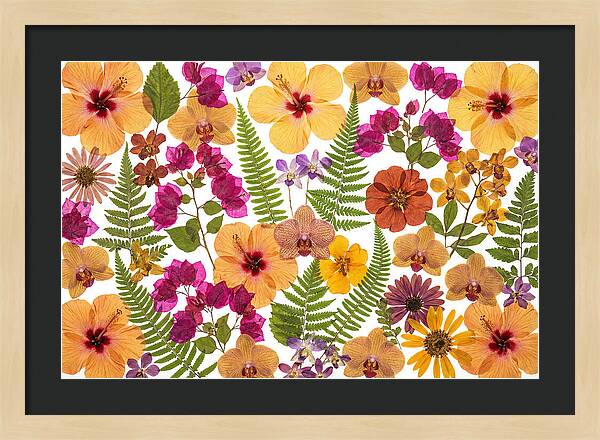 Pressed Floral Harmony