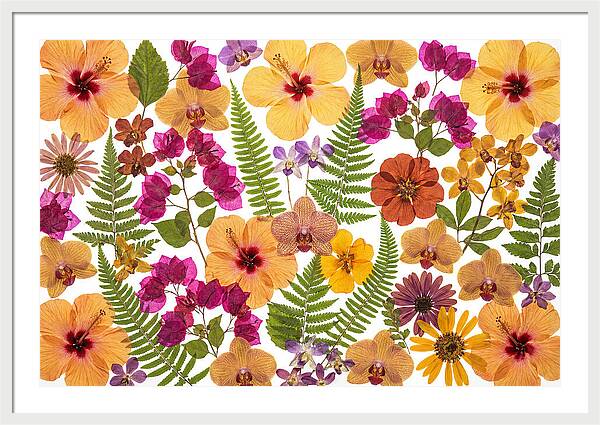 Pressed Floral Harmony