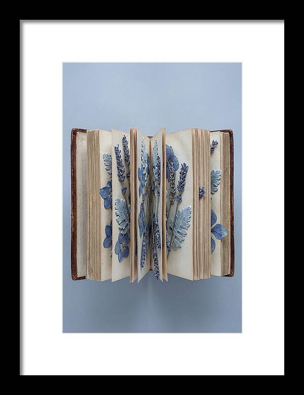 Pressed Flowers In An Old Book