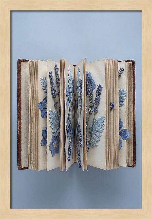 Pressed Flowers In An Old Book