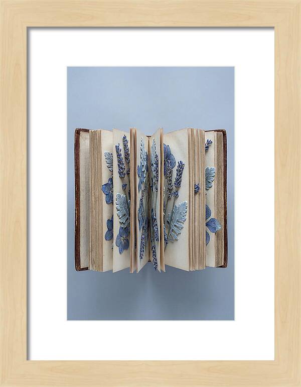 Pressed Flowers In An Old Book