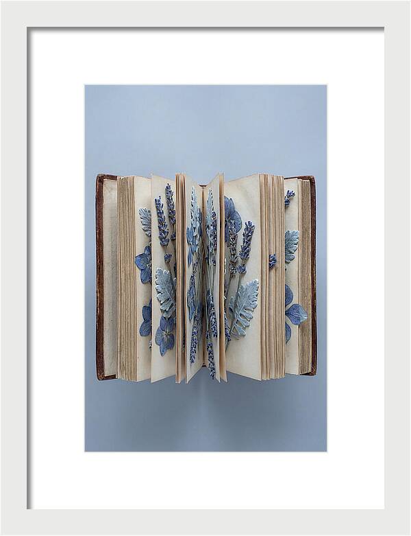 Pressed Flowers In An Old Book